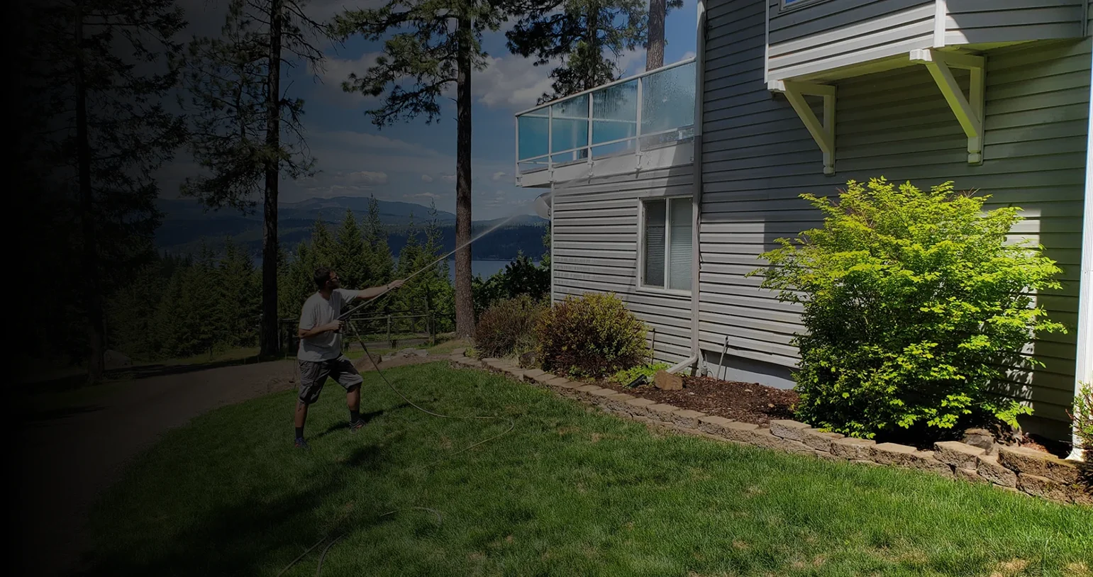 Two Dogs Washing hero 1