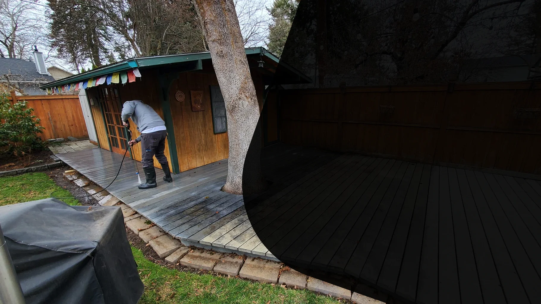 Two Dogs Washing parallax