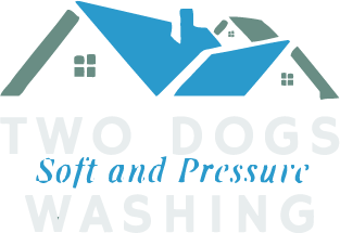 Two Dogs Washing